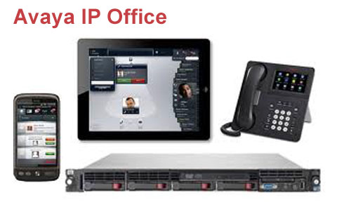 Avaya Ip Office
