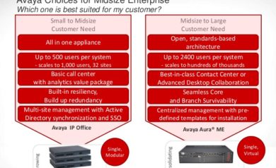 Avaya Ip Office Overview